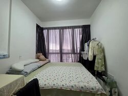 La Fiesta (D19), Condominium #555570081